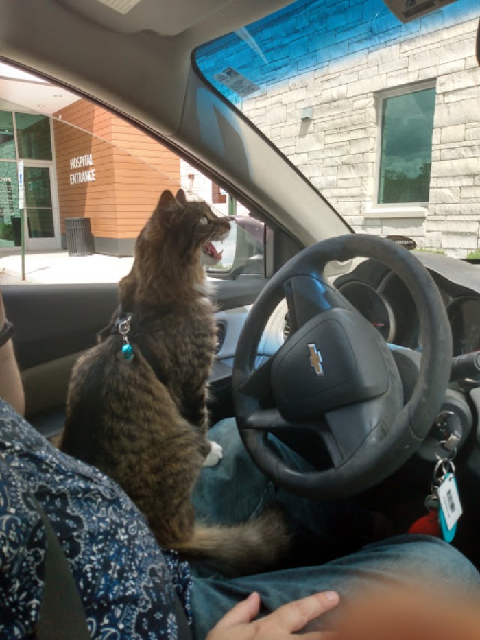 "We Can't Stop Here!"