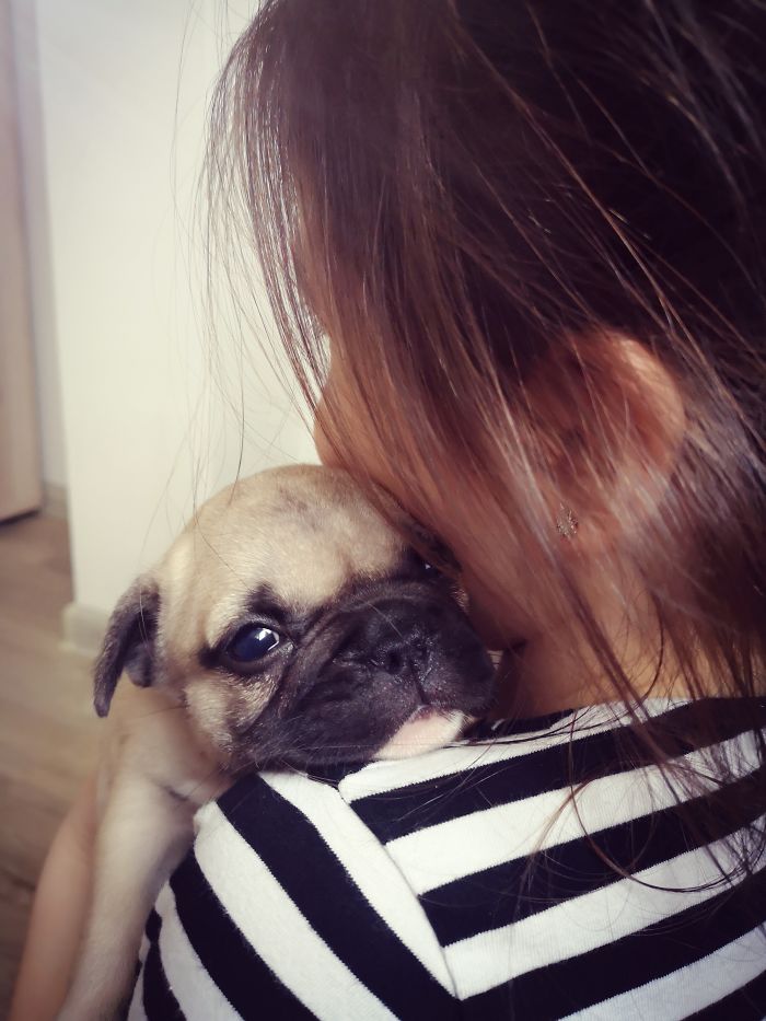 Every Puppy Should Have A Child