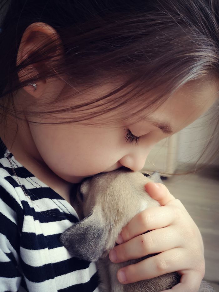 Every Puppy Should Have A Child