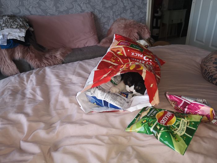 Anyone Fancy Some Crisps?