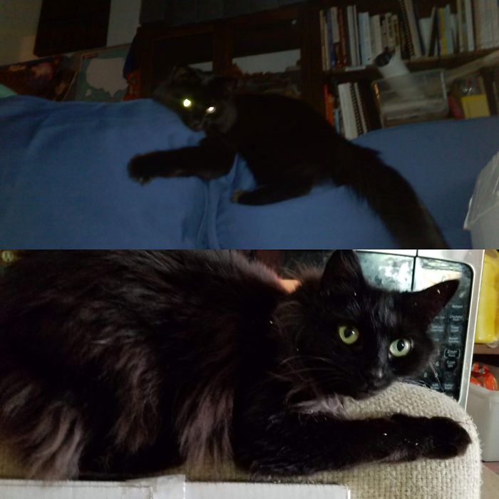 This Is Just How Shadow Sits On The Backs Of Chairs