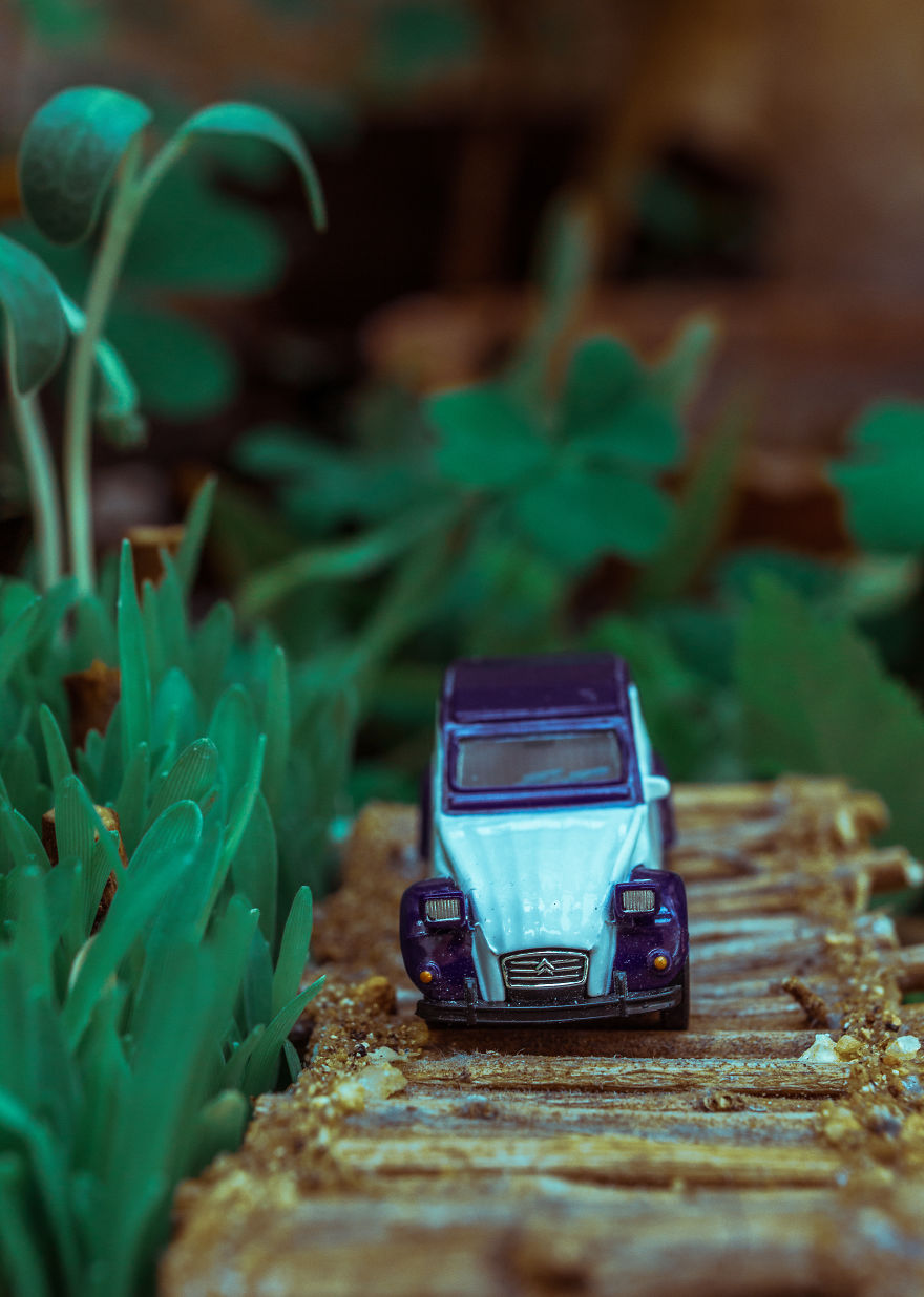 I Built A Bridge To Nowhere I Built A Bridge To Nowhere