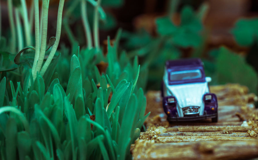 I Built A Bridge To Nowhere I Built A Bridge To Nowhere