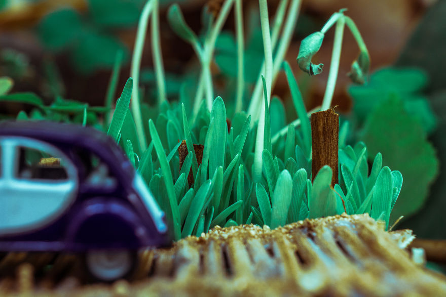 I Built A Bridge To Nowhere I Built A Bridge To Nowhere