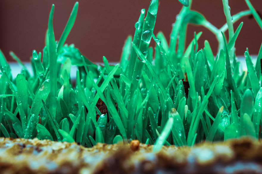 I Built A Bridge To Nowhere I Built A Bridge To Nowhere