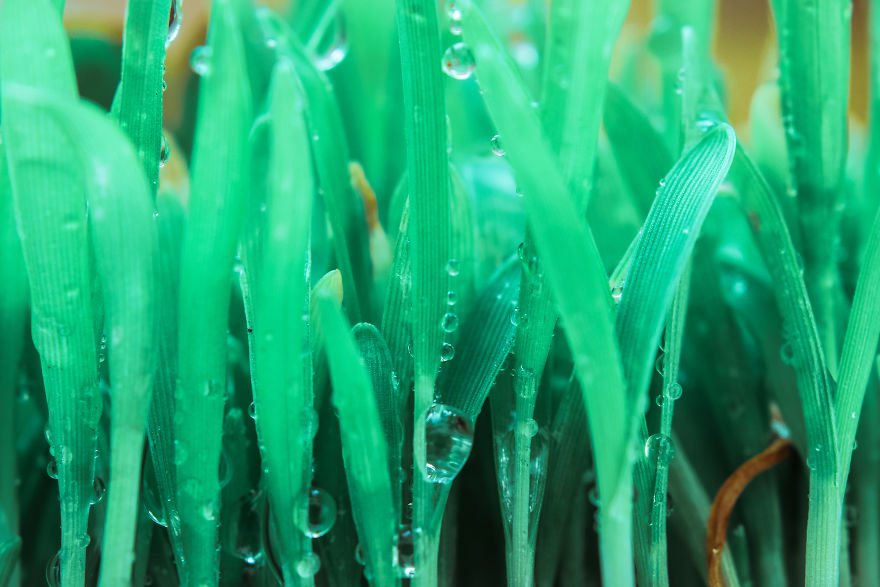 I Built A Bridge To Nowhere I Built A Bridge To Nowhere