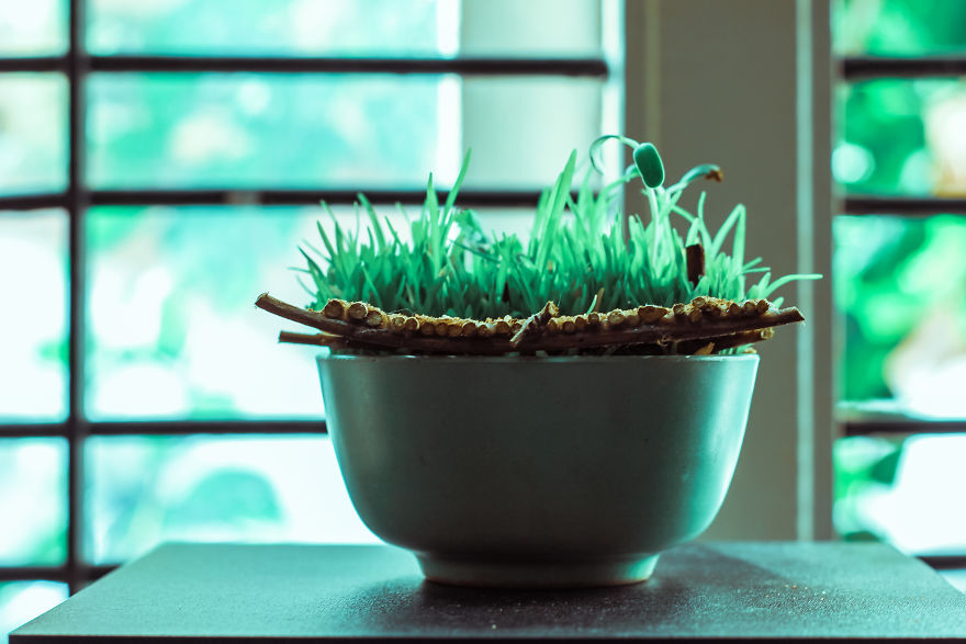 I Built A Bridge To Nowhere I Built A Bridge To Nowhere