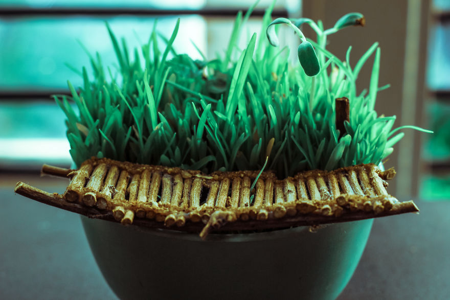 I Built A Bridge To Nowhere I Built A Bridge To Nowhere