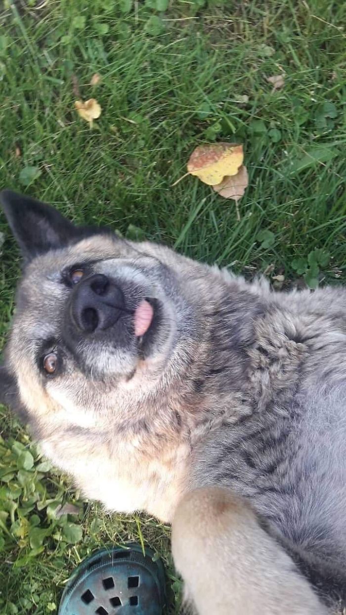 "Felt Cute, Might Delete Later"