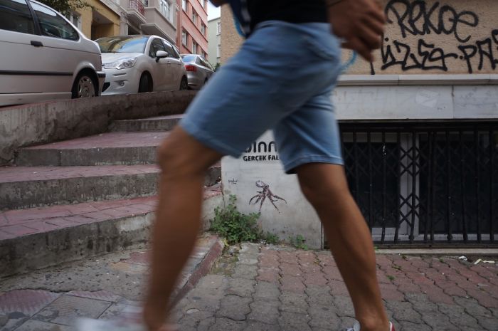 My Wildlife Collage Animation Project 'Kaybid' (24 Pics)