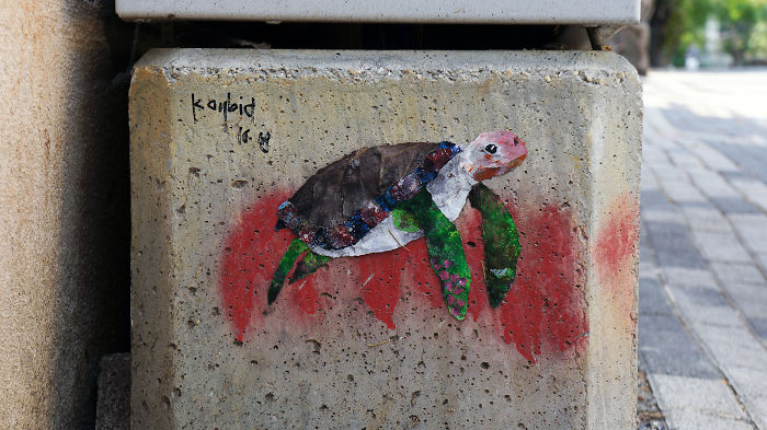 My Wildlife Collage Animation Project 'Kaybid' (24 Pics)