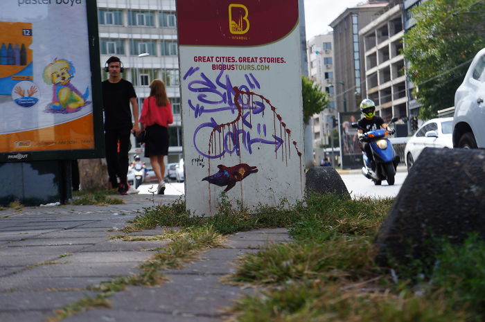 My Wildlife Collage Animation Project 'Kaybid' (24 Pics)