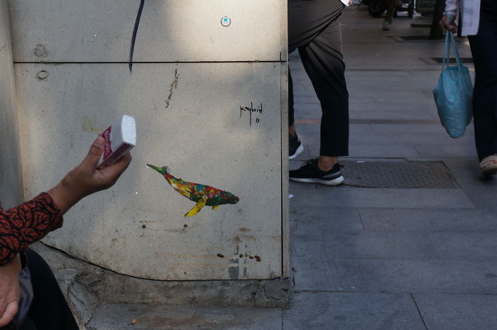 My Wildlife Collage Animation Project 'Kaybid' (24 Pics) My Wildlife Collage Animation Project 'Kaybid' (24 Pics)