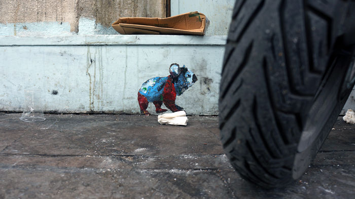 My Wildlife Collage Animation Project 'Kaybid' (24 Pics)