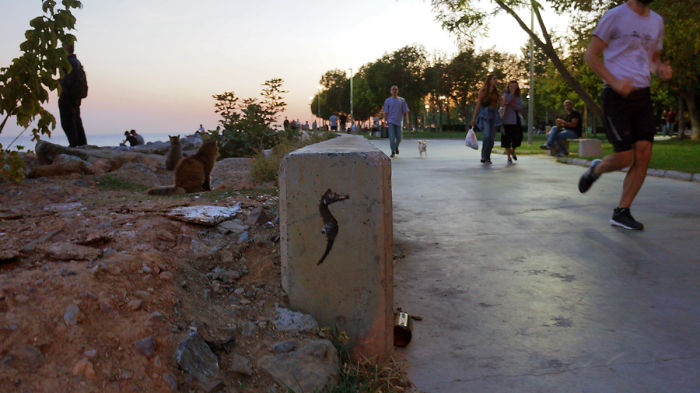 My Wildlife Collage Animation Project 'Kaybid' (24 Pics) My Wildlife Collage Animation Project 'Kaybid' (24 Pics)