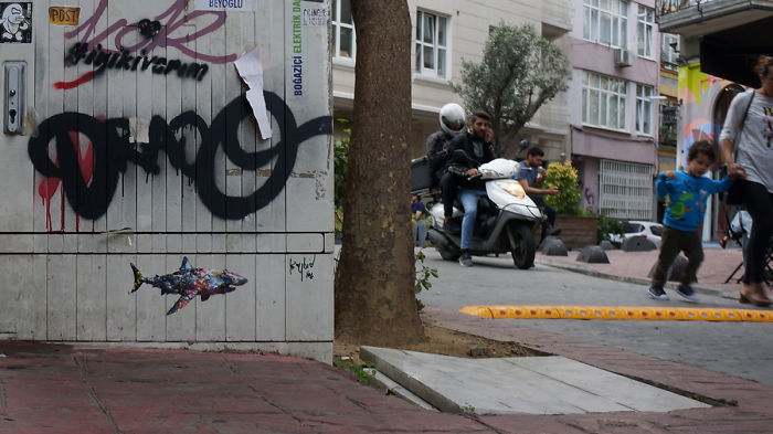 My Wildlife Collage Animation Project 'Kaybid' (24 Pics) My Wildlife Collage Animation Project 'Kaybid' (24 Pics)