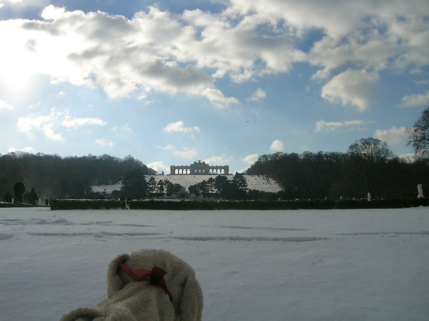 10 Naive Pics Of My Dog Exploring The World.