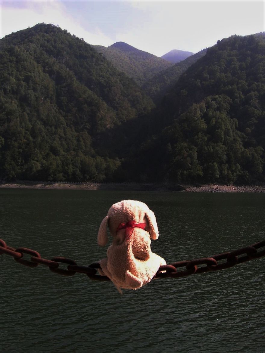 10 Naive Pics Of My Dog Exploring The World. 10 Naive Pics Of My Dog Exploring The World.