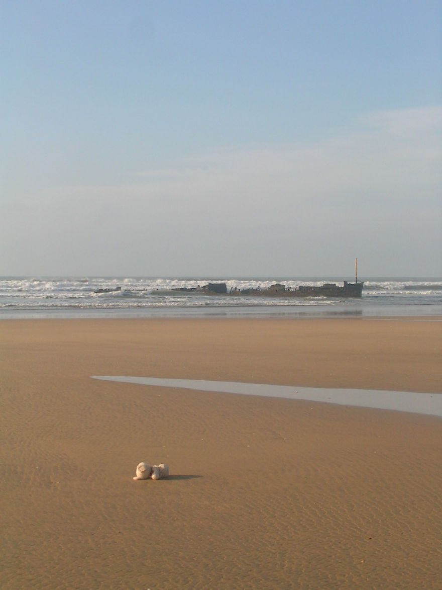 10 Naive Pics Of My Dog Exploring The World.