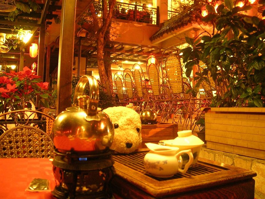 10 Naive Pics Of My Dog Exploring The World.