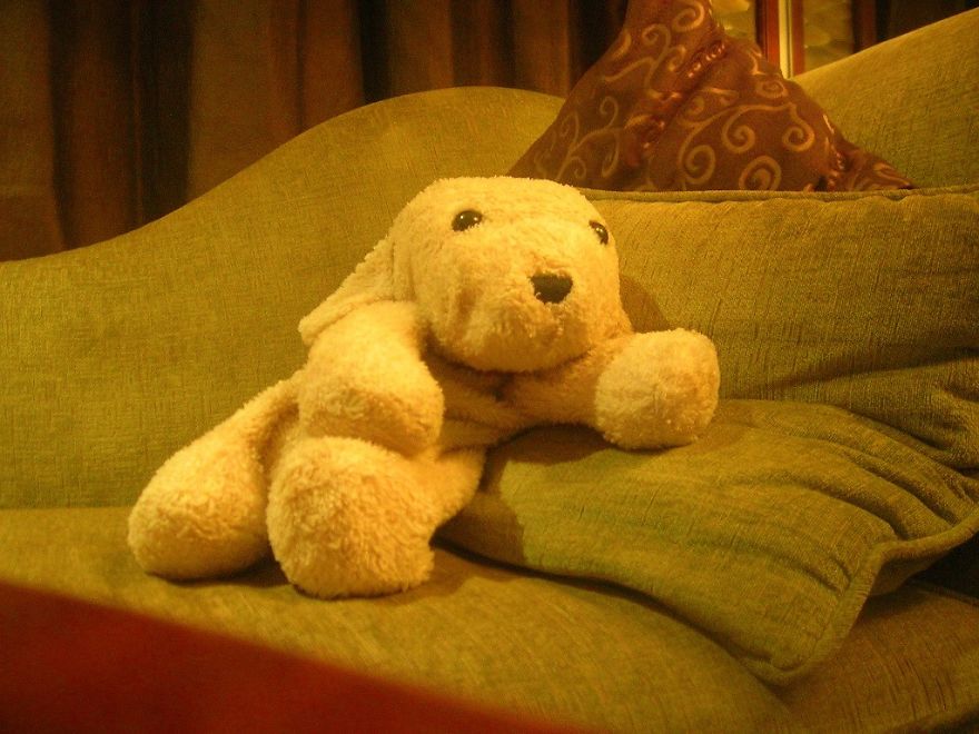 10 Naive Pics Of My Dog Exploring The World. 10 Naive Pics Of My Dog Exploring The World.