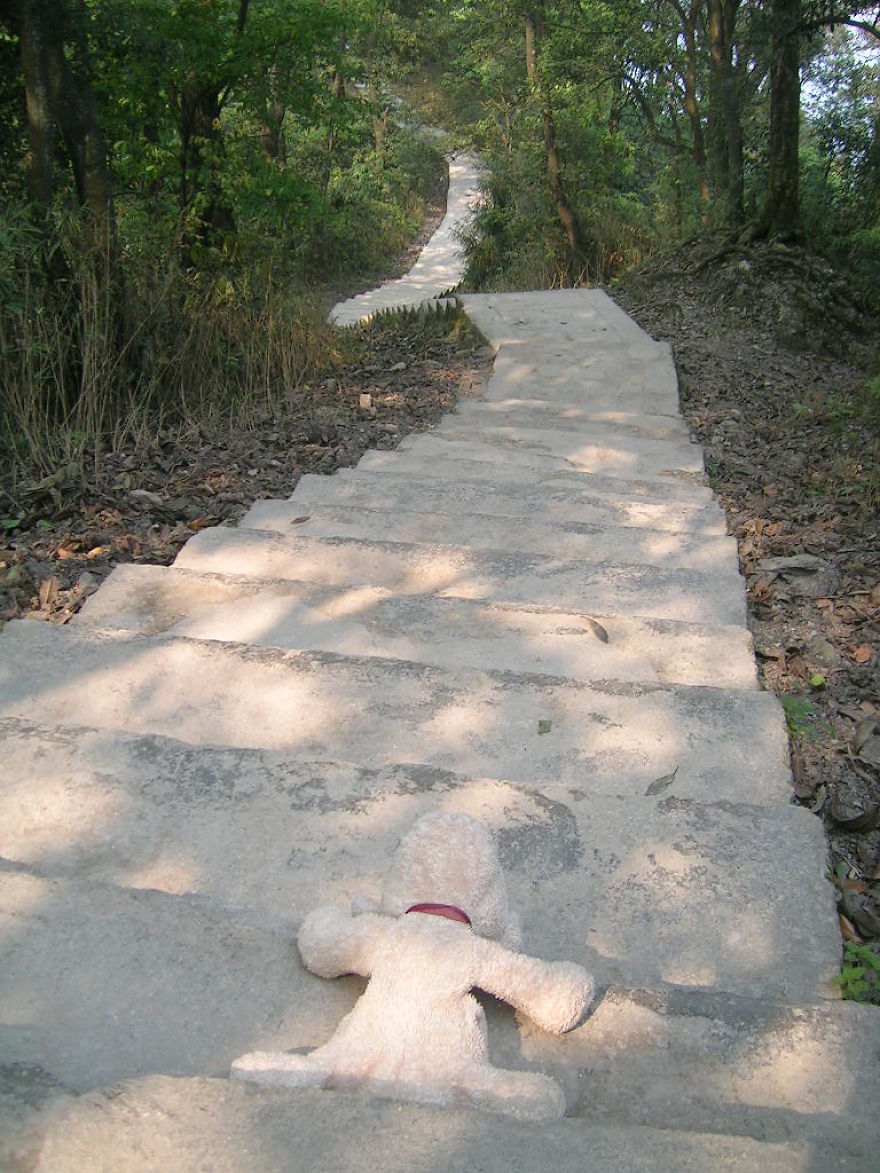 10 Naive Pics Of My Dog Exploring The World. 10 Naive Pics Of My Dog Exploring The World.