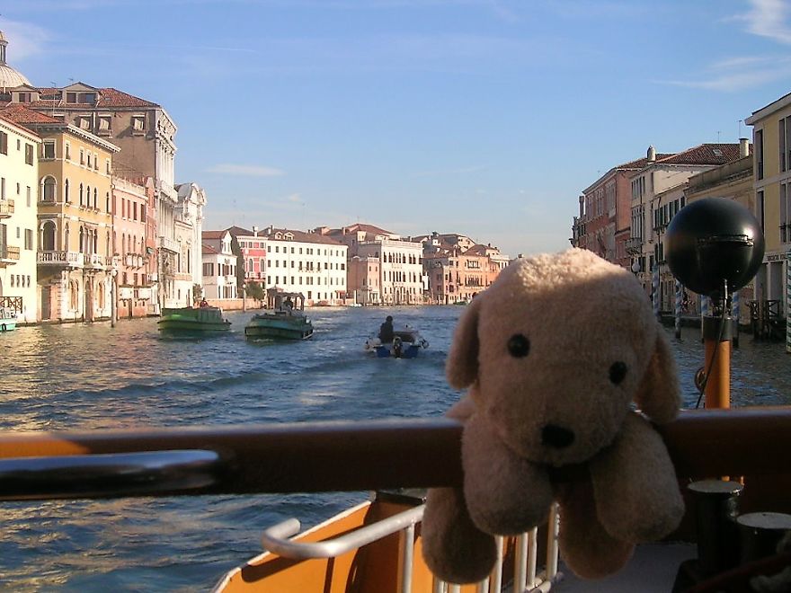 10 Naive Pics Of My Dog Exploring The World.