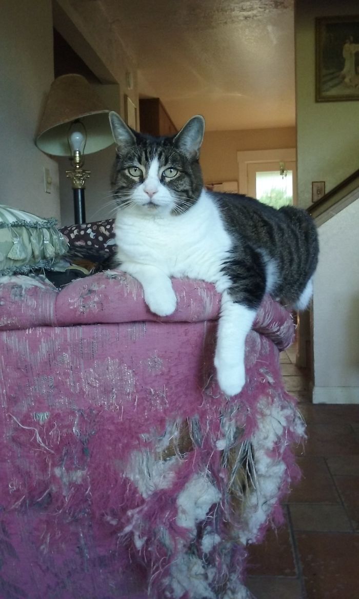 Layla Proudly Displays Her Art