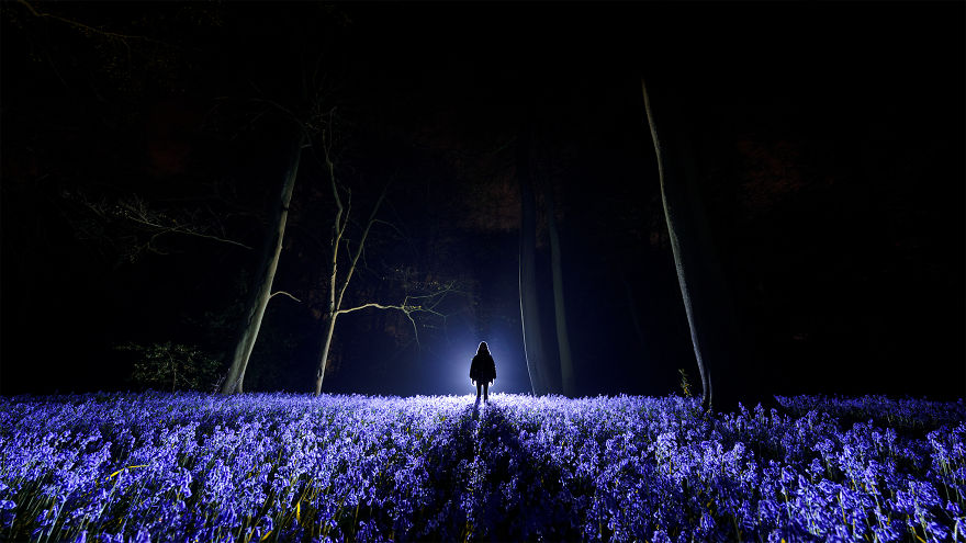 Enjoy The Nature Of The Night