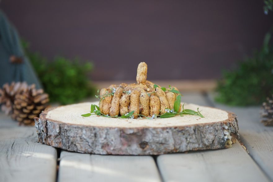 I Photographed A Mama Groundhog Stealing Cake Designed For Squirrels I Photographed A Mama Groundhog Stealing Cake Designed For Squirrels