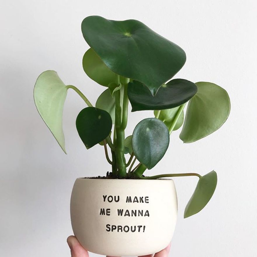 My Handmade Ceramic Planters, Made In Australia & Shipped Worldwide