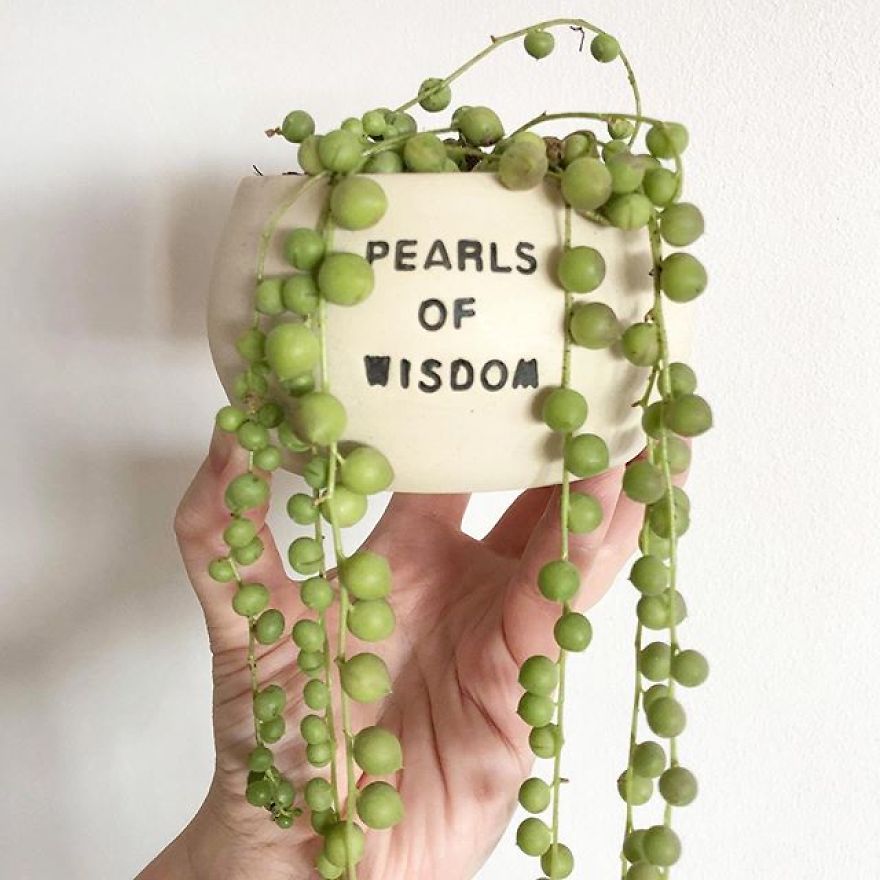 My Handmade Ceramic Planters, Made In Australia & Shipped Worldwide