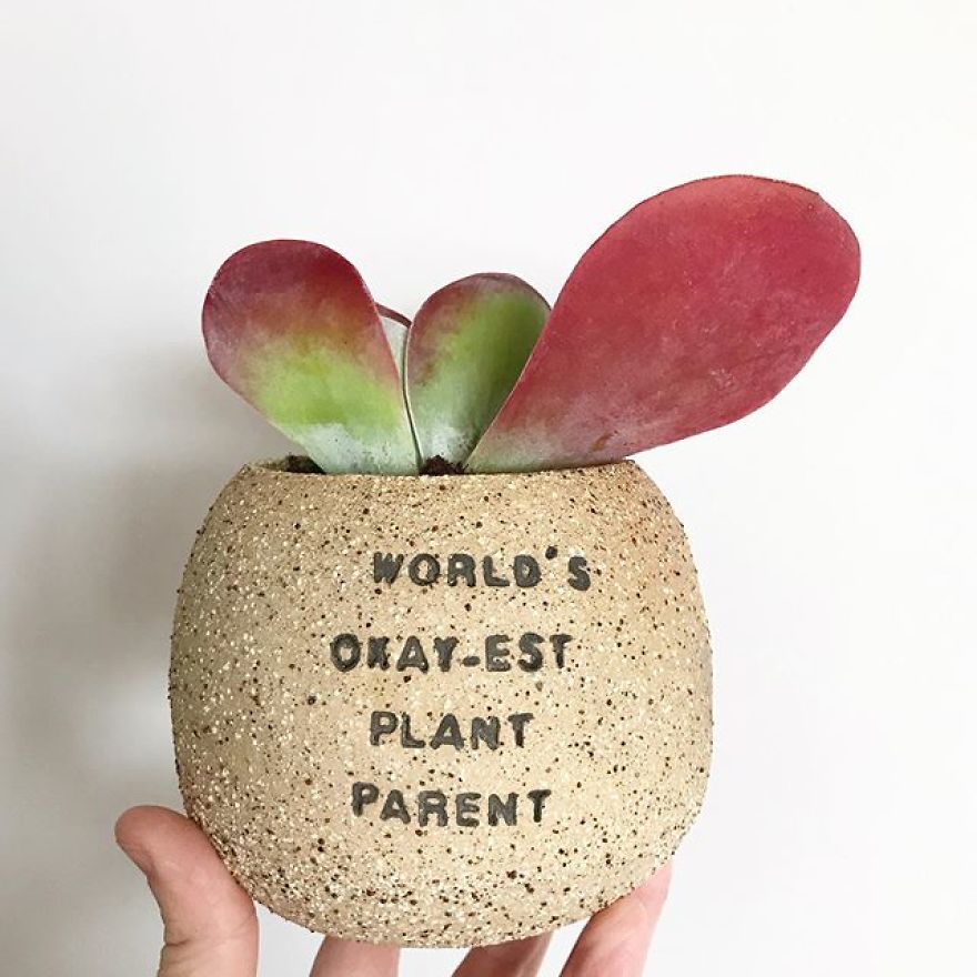 My Handmade Ceramic Planters, Made In Australia & Shipped Worldwide