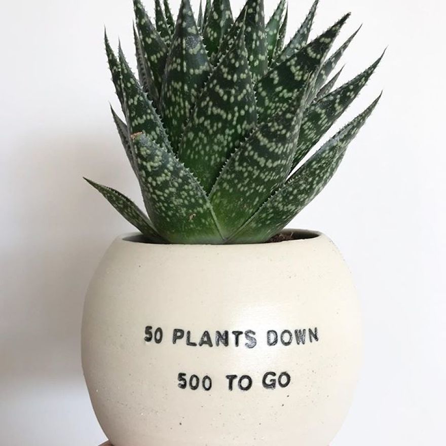 My Handmade Ceramic Planters, Made In Australia & Shipped Worldwide
