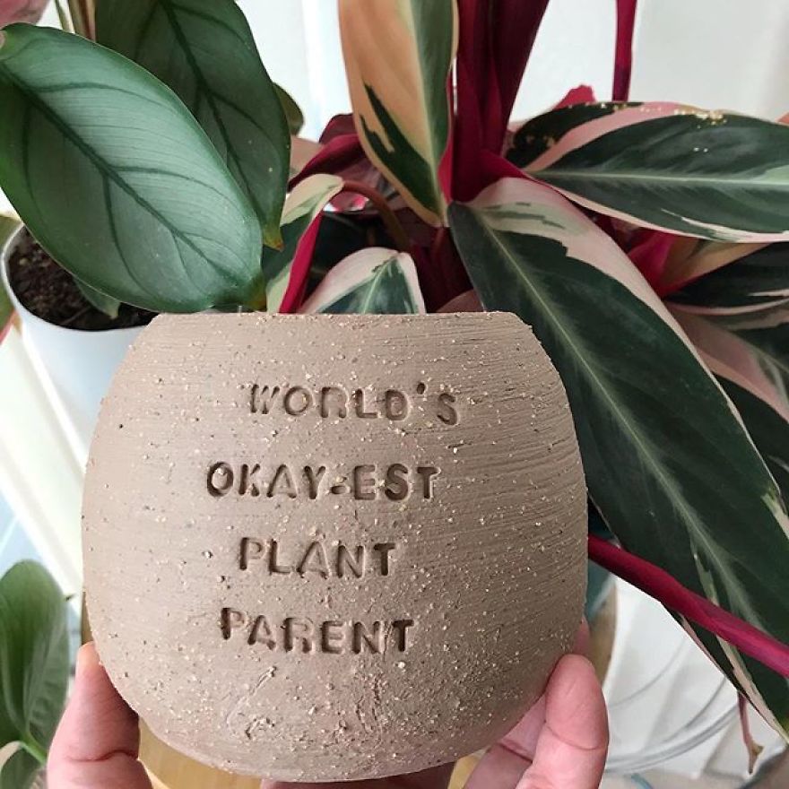 My Handmade Ceramic Planters, Made In Australia & Shipped Worldwide