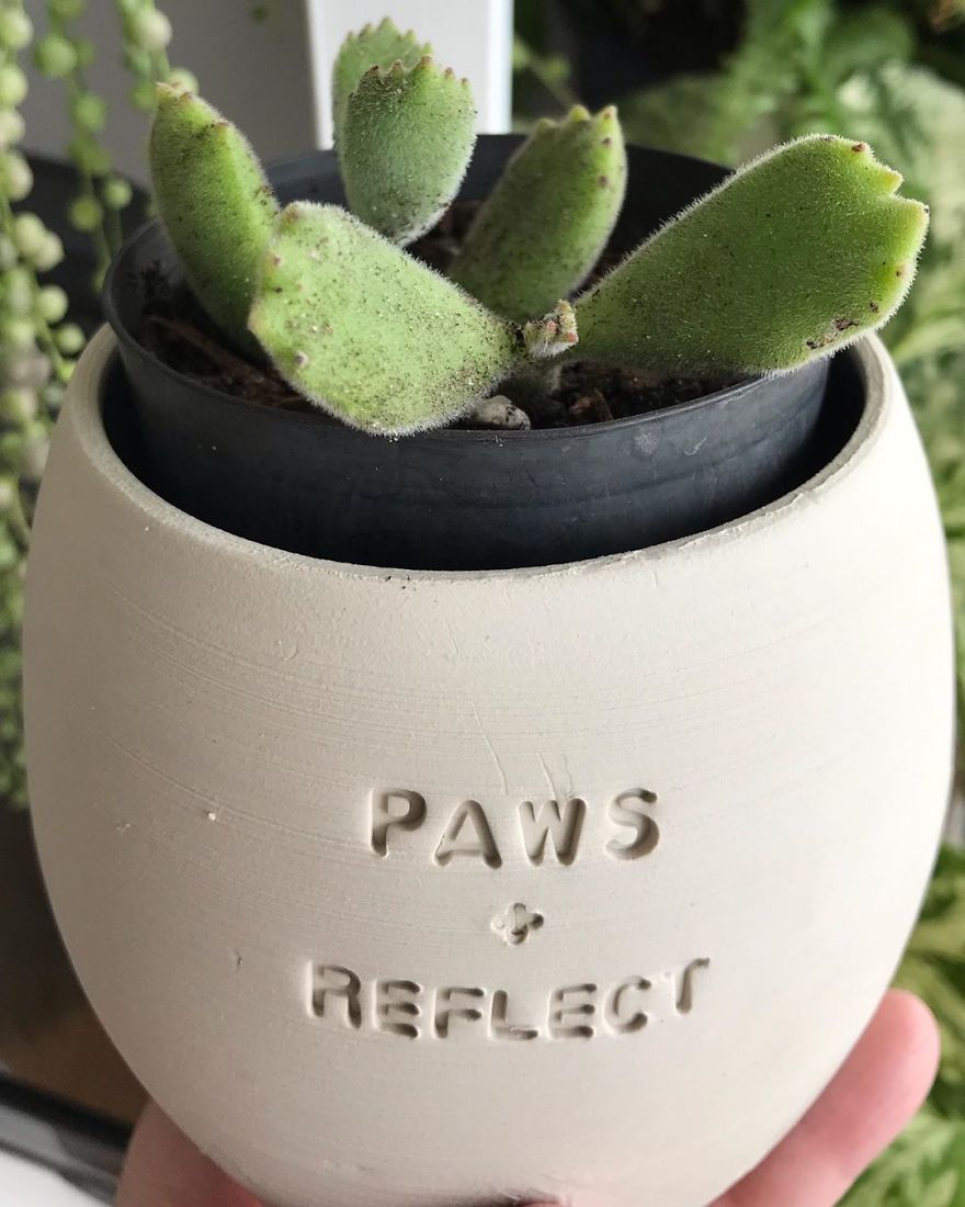 My Handmade Ceramic Planters, Made In Australia & Shipped Worldwide