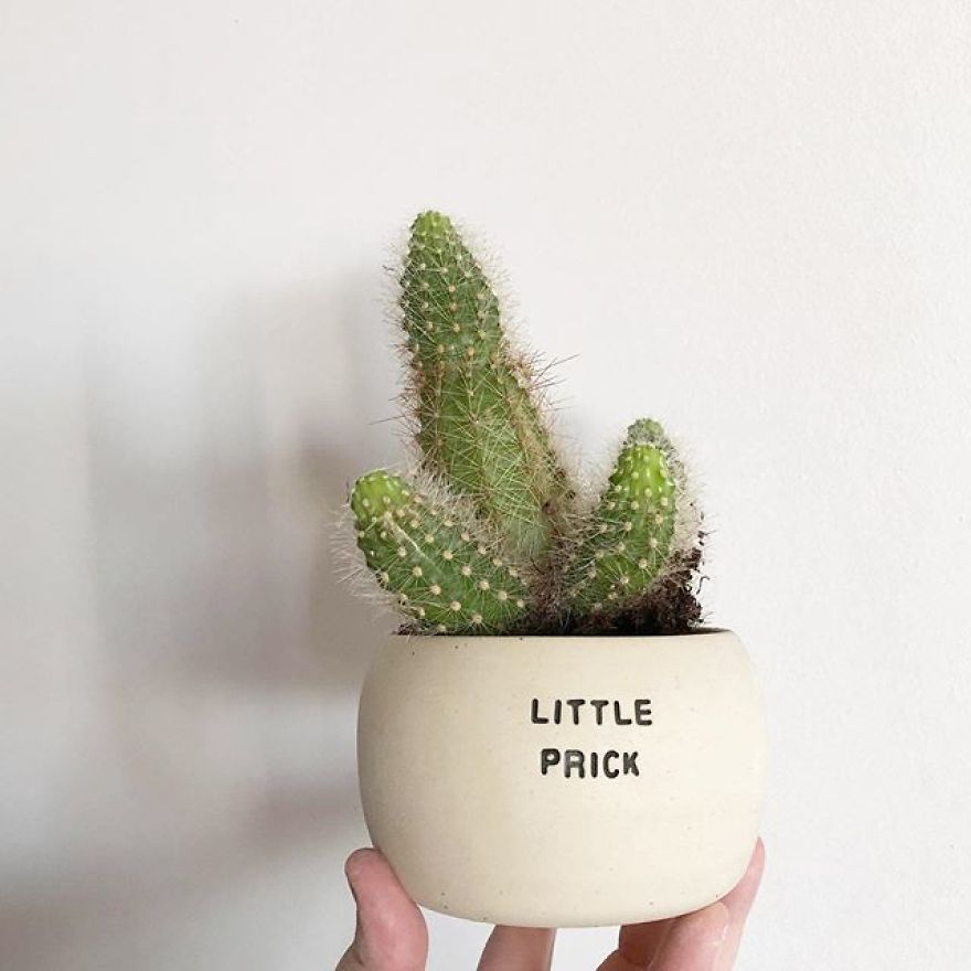 My Handmade Ceramic Planters, Made In Australia & Shipped Worldwide