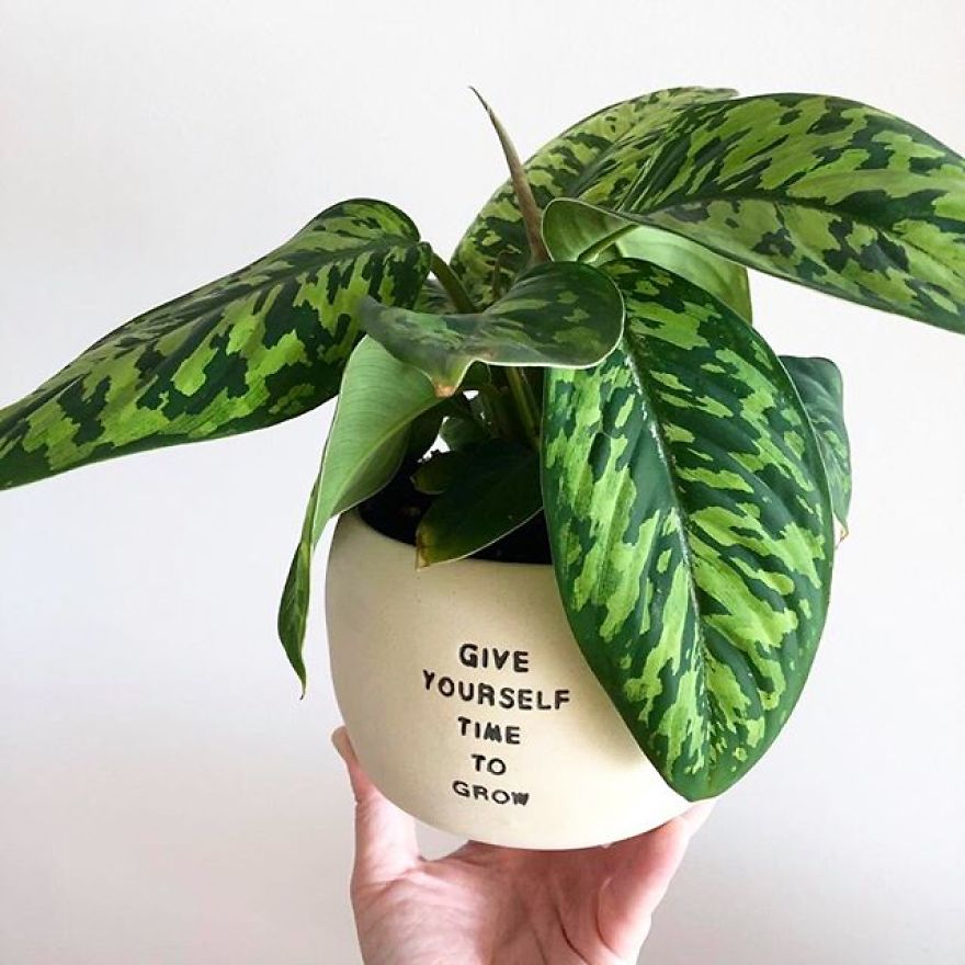 My Handmade Ceramic Planters, Made In Australia & Shipped Worldwide