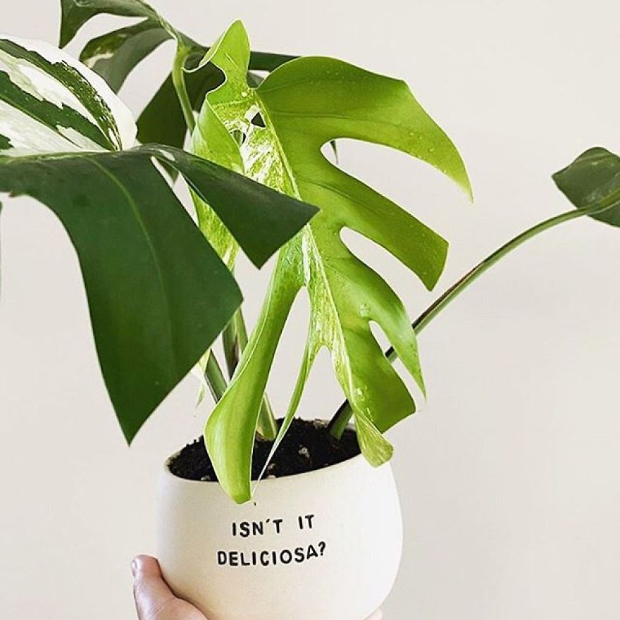 My Handmade Ceramic Planters, Made In Australia & Shipped Worldwide