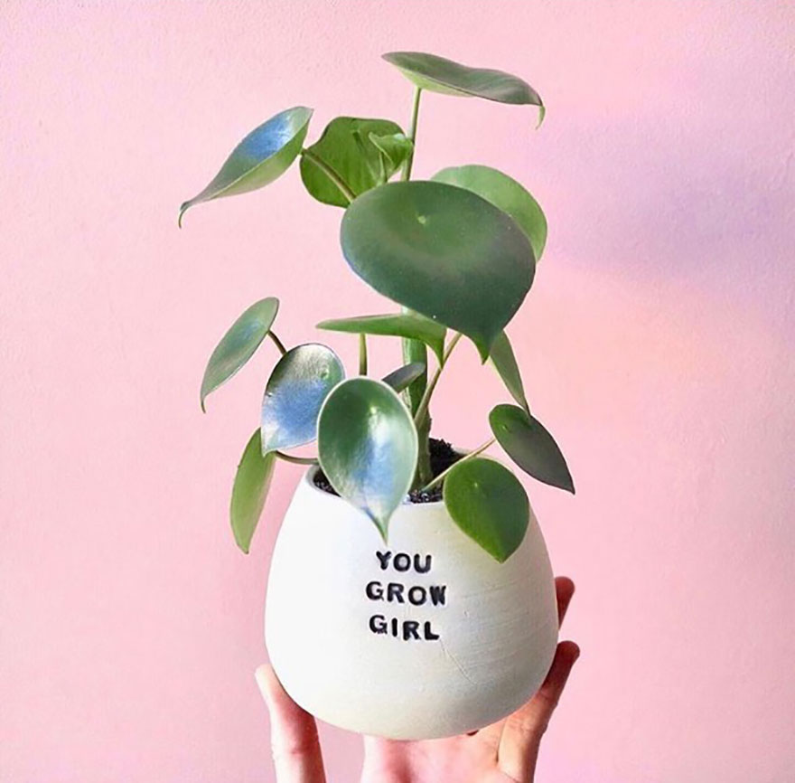 My Handmade Ceramic Planters, Made In Australia & Shipped Worldwide