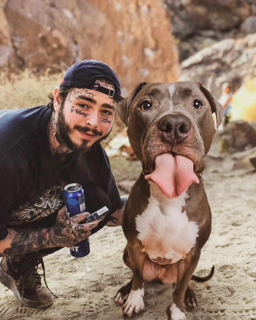 Philly Photographer Summons Post Malone For Adoptable Dog Photoshoot In A Wild Way!