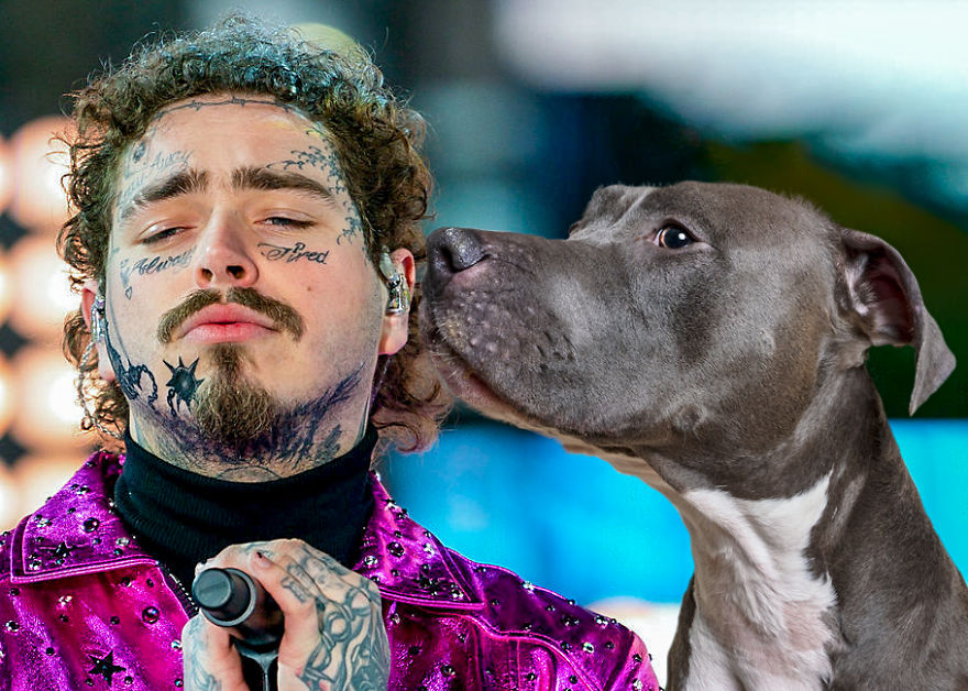 Philly Photographer Summons Post Malone For Adoptable Dog Photoshoot In A Wild Way!