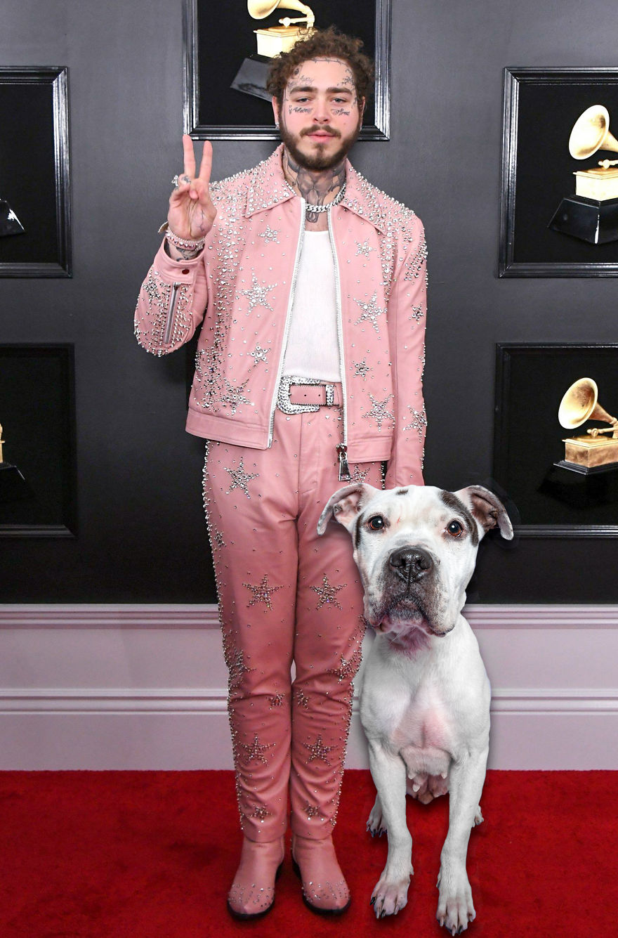 Philly Photographer Summons Post Malone For Adoptable Dog Photoshoot In A Wild Way!