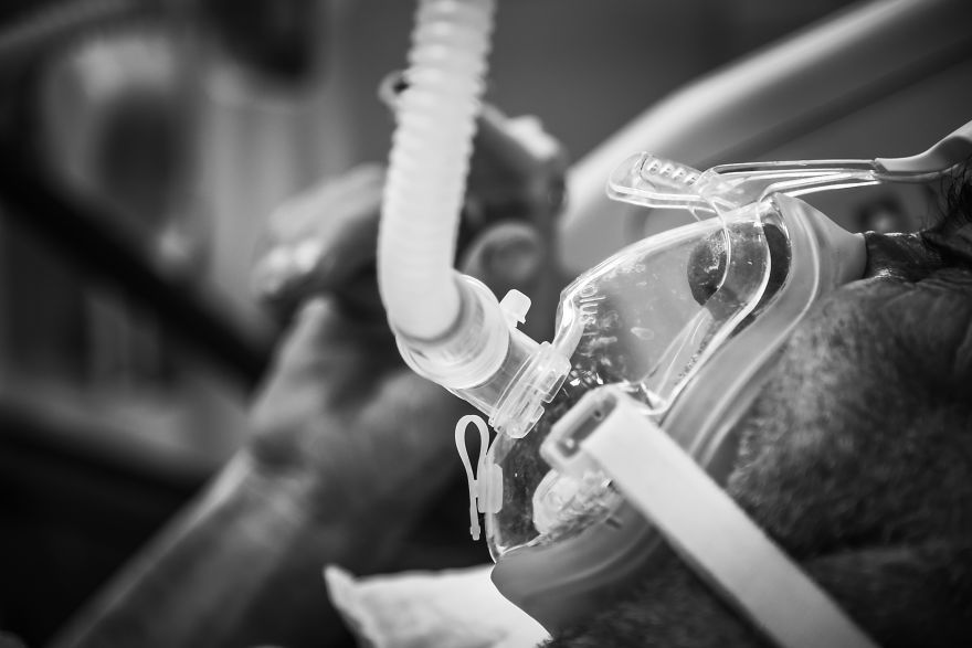 At The Front Lines, A Battle With The Coronavirus Is Fought Until The Last Breath At The Front Lines, A Battle With The Coronavirus Is Fought Until The Last Breath