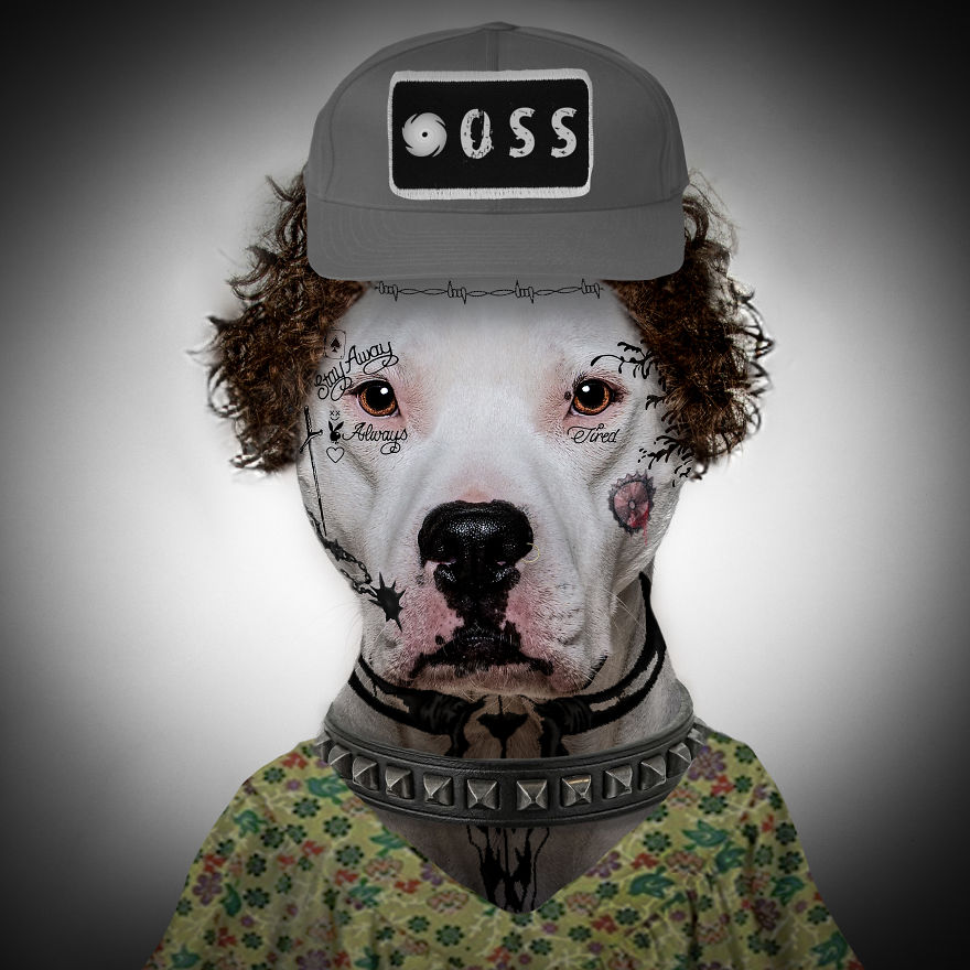 Philly Photographer Summons Post Malone For Adoptable Dog Photoshoot In A Wild Way! Philly Photographer Summons Post Malone For Adoptable Dog Photoshoot In A Wild Way!