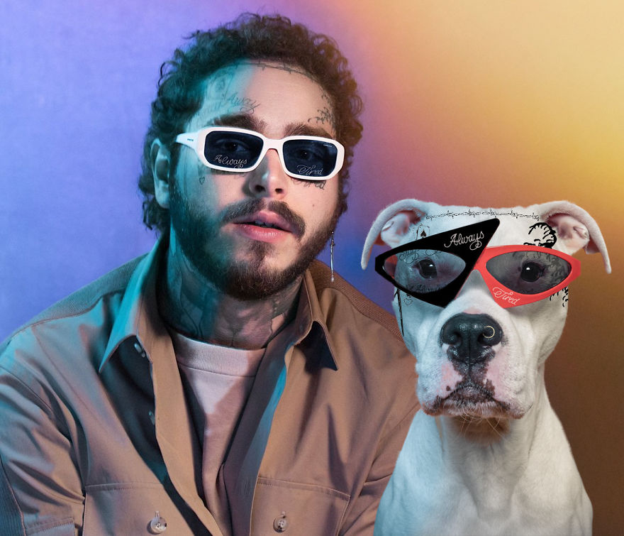 Philly Photographer Summons Post Malone For Adoptable Dog Photoshoot In A Wild Way! Philly Photographer Summons Post Malone For Adoptable Dog Photoshoot In A Wild Way!