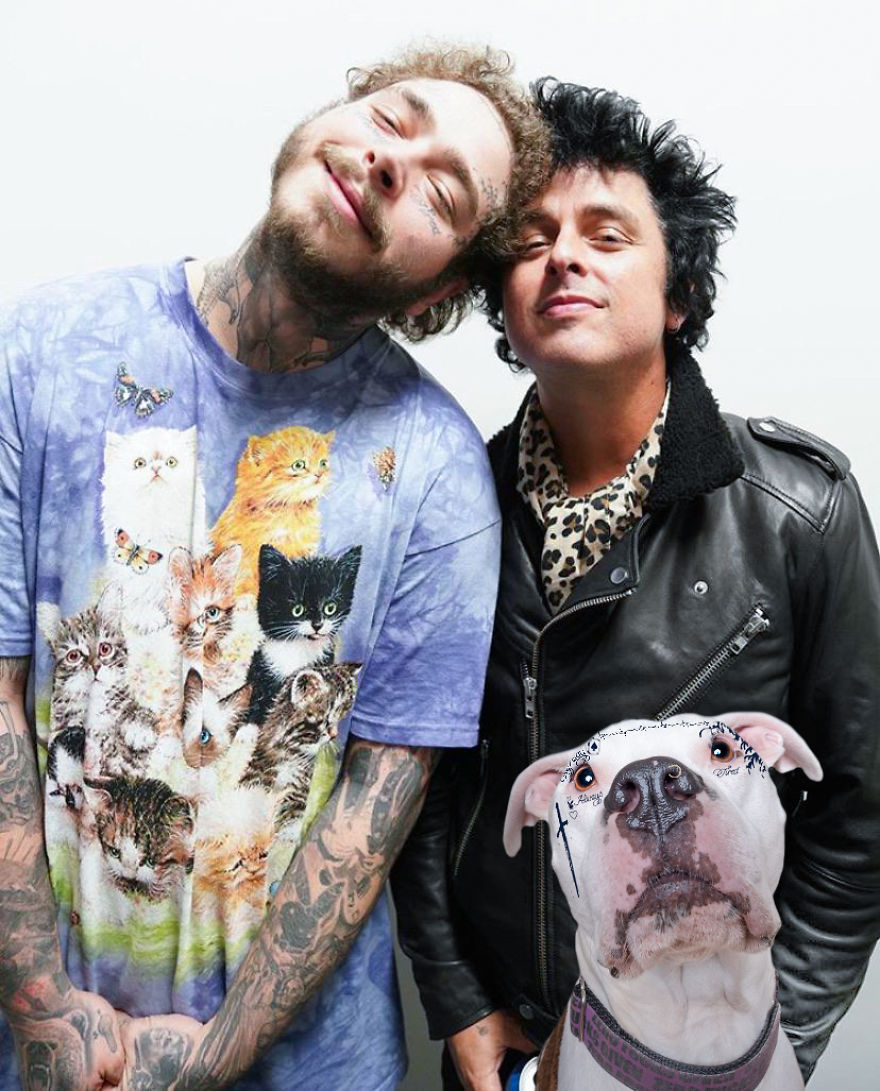 Philly Photographer Summons Post Malone For Adoptable Dog Photoshoot In A Wild Way!