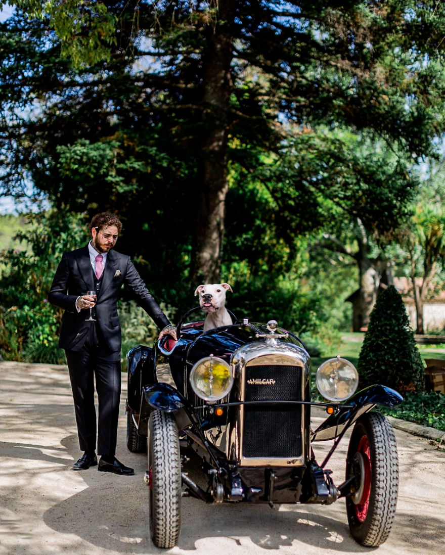 Philly Photographer Summons Post Malone For Adoptable Dog Photoshoot In A Wild Way! Philly Photographer Summons Post Malone For Adoptable Dog Photoshoot In A Wild Way!