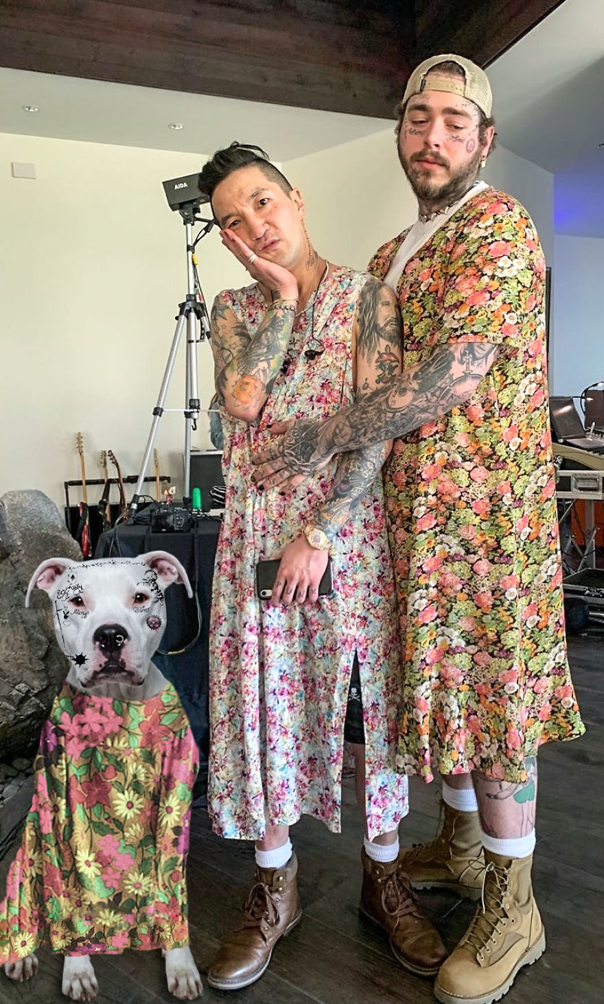 Philly Photographer Summons Post Malone For Adoptable Dog Photoshoot In A Wild Way! Philly Photographer Summons Post Malone For Adoptable Dog Photoshoot In A Wild Way!