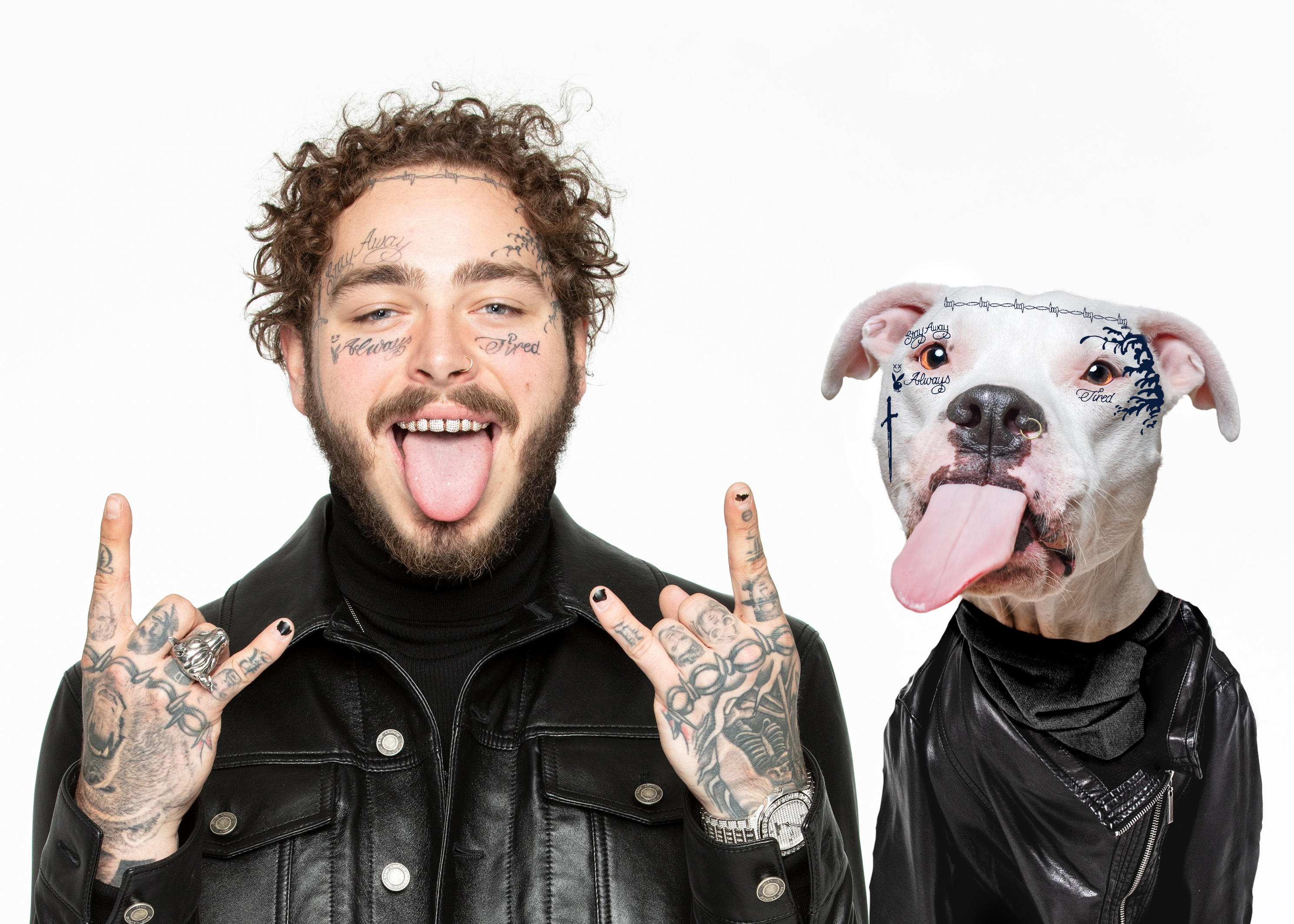 Philly Photographer Summons Post Malone For Adoptable Dog Photoshoot In A Wild Way!
